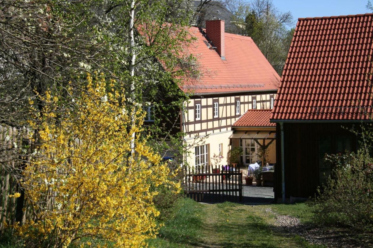 Fachwerkhaus Maxen Villa Muglitztal Exterior foto